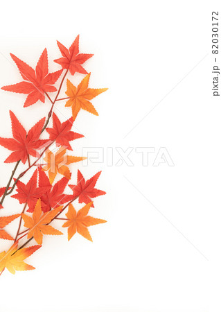 秋イメージ 紅葉のフレーム 秋イメージ 紅葉のフレーム 82030172