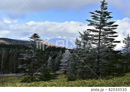北八ヶ岳を横断する国道299号線最高所麦草峠と浅間山 82030530