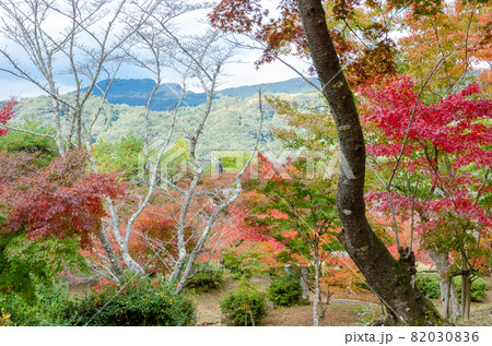 西渓公園 82030836