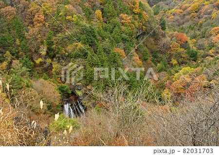 紅葉の蓼科高原横谷峡の王滝 紅葉の蓼科高原横谷峡の王滝 82031703
