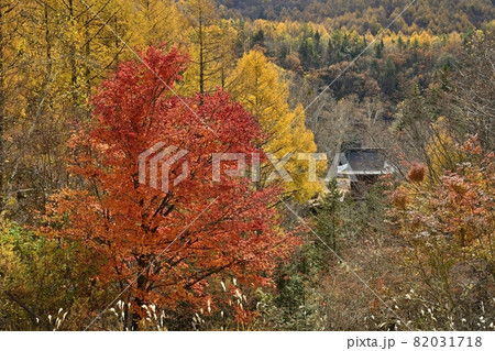 紅葉の蓼科高原横谷峡に横谷観音 紅葉の蓼科高原横谷峡に横谷観音 82031718