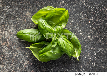 Fresh green basil leaves. Fresh green basil leaves. 82031986