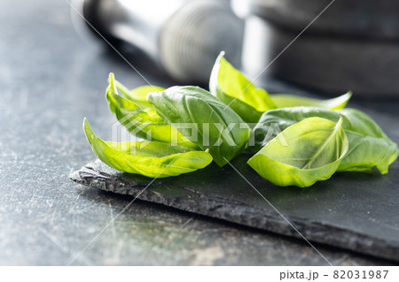 Fresh green basil leaves. Fresh green basil leaves. 82031987