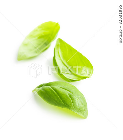 Fresh green basil leaves. Fresh green basil leaves. 82031995