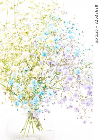 かすみ草 花のある生活 淡い色の花の写真素材