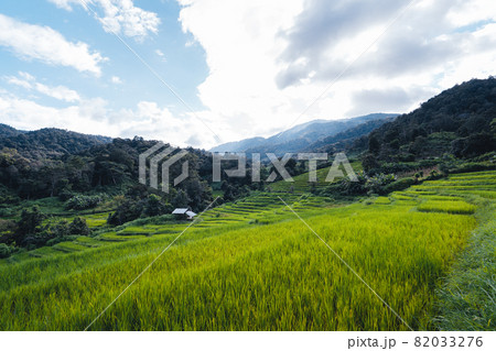 Rice fields on the mountain in the evening 82033276