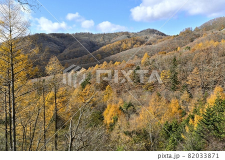 紅葉の蓼科高原と八子ヶ峰 82033871