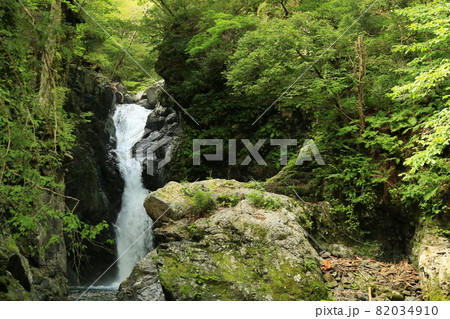 山王滝 5 山王滝 5 82034910