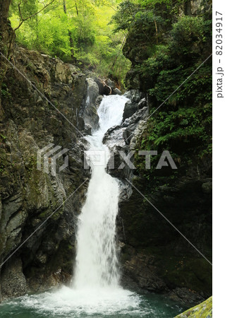 山王滝 11 山王滝 11 82034917