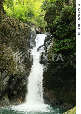 山王滝　12 82034918