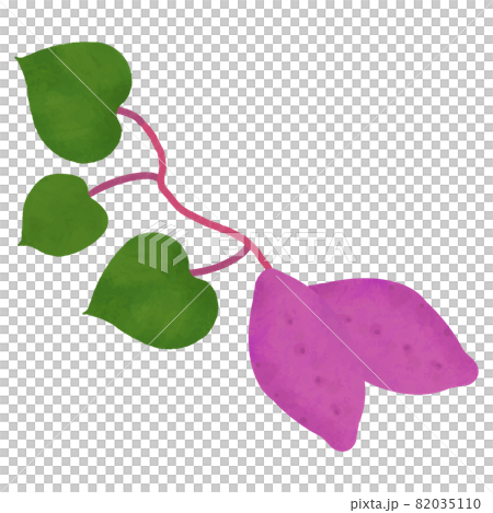 葉っぱ付きさつまいも 82035110