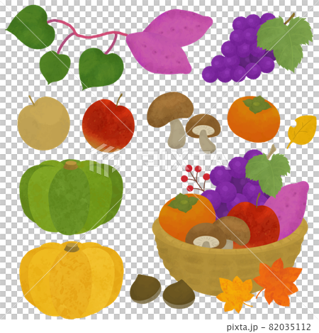 秋の味覚イラストセット 秋の味覚イラストセット 82035112