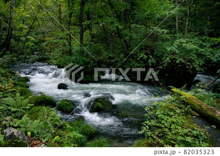 奥入瀬渓流　石ヶ戸－裸渡橋　間 82035323
