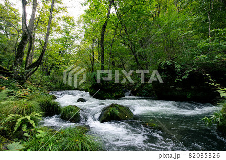 奥入瀬渓流　石ヶ戸－裸渡橋　間 82035326