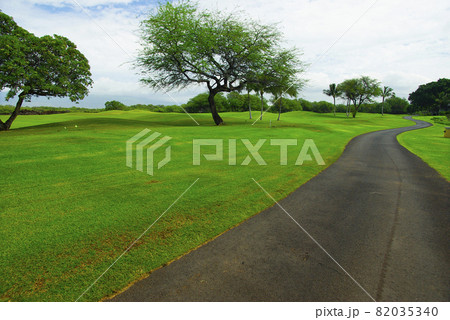 ハワイ島のゴルフコース 82035340