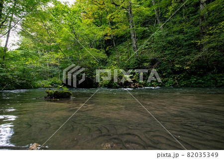 奥入瀬渓流　石ヶ戸－裸渡橋　間 82035349