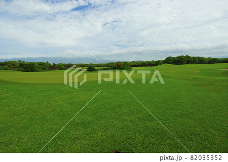 ハワイ島のゴルフコース 82035352