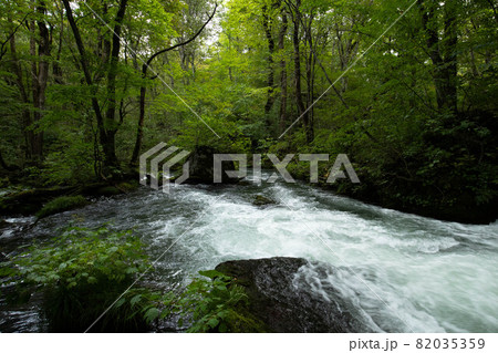 奥入瀬渓流　石ヶ戸－裸渡橋　間 82035359