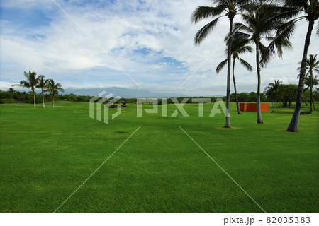 ハワイ島のゴルフコース ハワイ島のゴルフコース 82035383