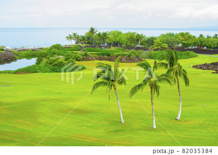 ハワイ島のゴルフコース ハワイ島のゴルフコース 82035384