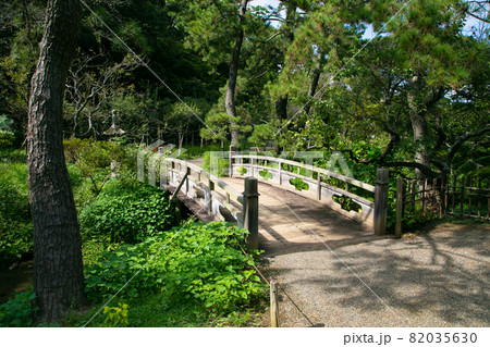 夏の三渓園・横浜 82035630