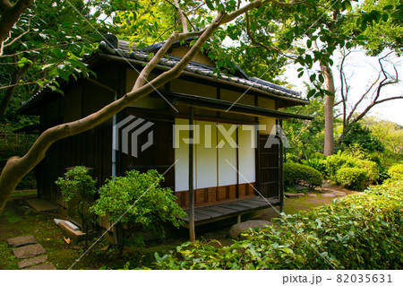 夏の三渓園・横浜 82035631