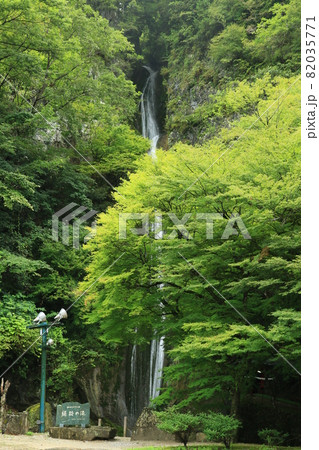 絹掛の滝　1 82035771
