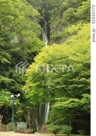 絹掛の滝 4 絹掛の滝 4 82035775