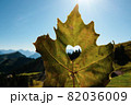 Leaf with the Alps view through the heart shape cut 82036009