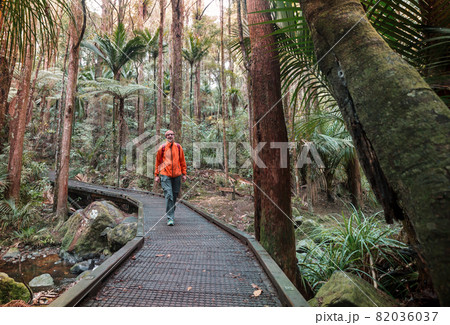 Tramping Tramping 82036037