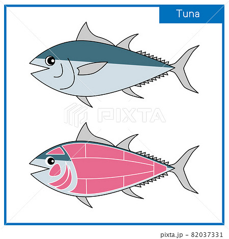 図 可愛いマグロと部位のシンプルなイラスト ベクターのイラスト素材