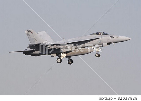 大空を飛行する在日米海軍の空母艦載機F/A-18Eスーパーホーネット戦闘攻撃機 82037828