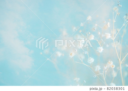 かすみ草と空 82038301