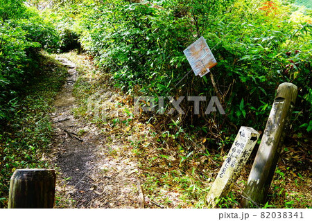 飯豊山　大日杉コース　登山道　御沢分れ　 82038341