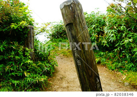 飯豊山 大日杉コース 登山道 地蔵岳分岐 飯豊山 大日杉コース 登山道 地蔵岳分岐 82038346