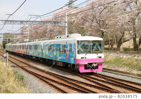 千葉県鎌ケ谷市くぬぎ山付近を通る新京成線の8800形新塗装車とさくら満開 82038575