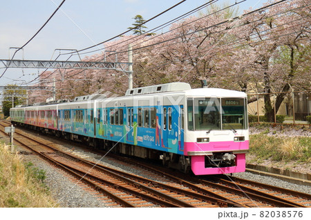 千葉県鎌ケ谷市くぬぎ山付近を通る新京成線の8800形新塗装車とさくら満開 千葉県鎌ケ谷市くぬぎ山付近を通る新京成線の8800形新塗装車とさくら満開 82038576