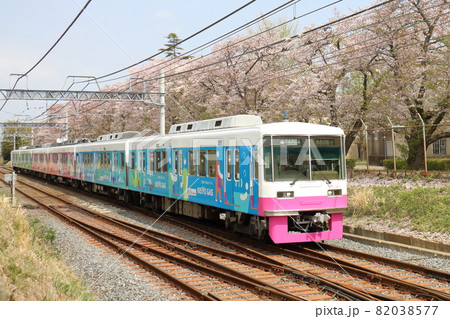 千葉県鎌ケ谷市くぬぎ山付近を通る新京成線の8800形新塗装車とさくら満開 千葉県鎌ケ谷市くぬぎ山付近を通る新京成線の8800形新塗装車とさくら満開 82038577