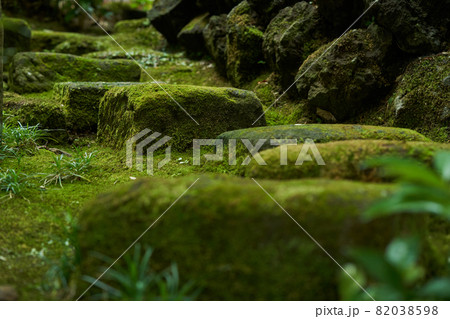 苔　石段 82038598