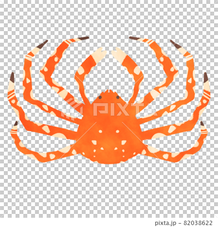 タカアシガニ　イラスト 82038622