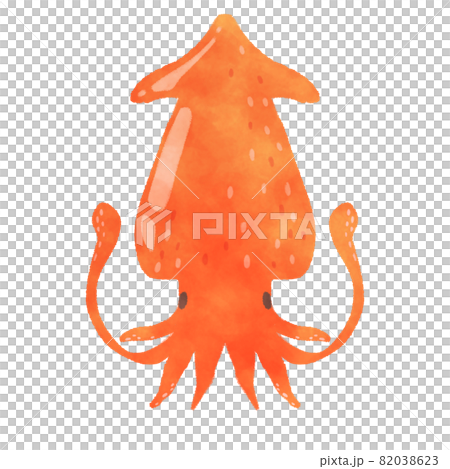 ダイオウイカ　イラスト 82038623