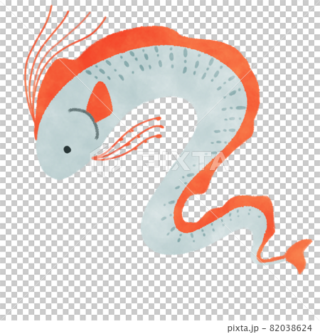 リュウグウノツカイ イラスト リュウグウノツカイ イラスト 82038624