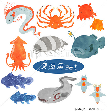 深海生物 イラスト セットのイラスト素材