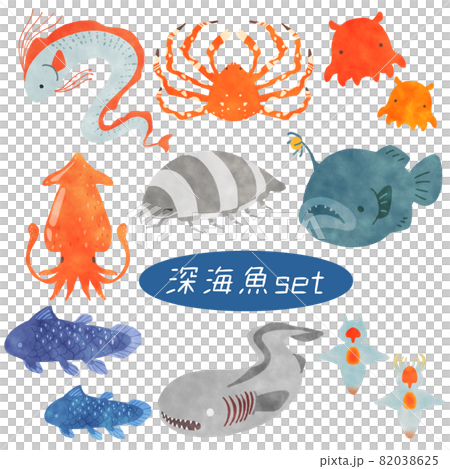 深海生物　イラスト　セット 82038625