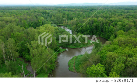 River delta river meander inland dron aerial video shot in floodplain forest and lowlands wetland swamp, quadcopter view flying fly flight show, protected landscape area of Litovelske Pomoravi 82039171