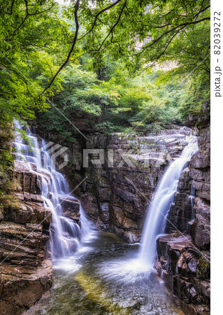Mureung valley waterfall Mureung valley waterfall 82039272