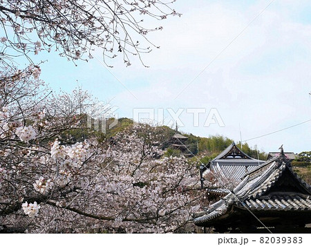 広島県尾道市 春の西国寺 広島県尾道市 春の西国寺 82039383