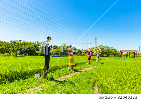 農業文化園・戸田川緑地、かかしのある風景〈愛知県名古屋市〉 農業文化園・戸田川緑地、かかしのある風景〈愛知県名古屋市〉 82040323