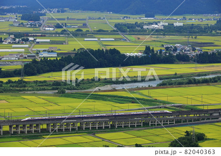 新潟の田園風景を走るE4系Maxとき 新潟の田園風景を走るE4系Maxとき 82040363