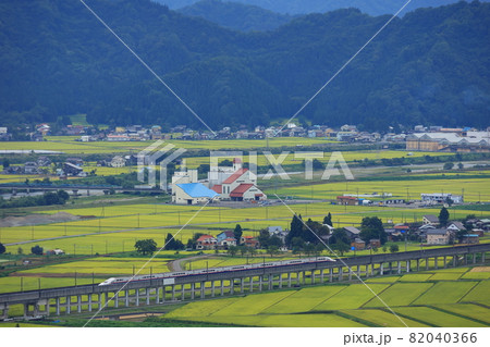 新潟の田園風景を走るE4系Maxとき 新潟の田園風景を走るE4系Maxとき 82040366